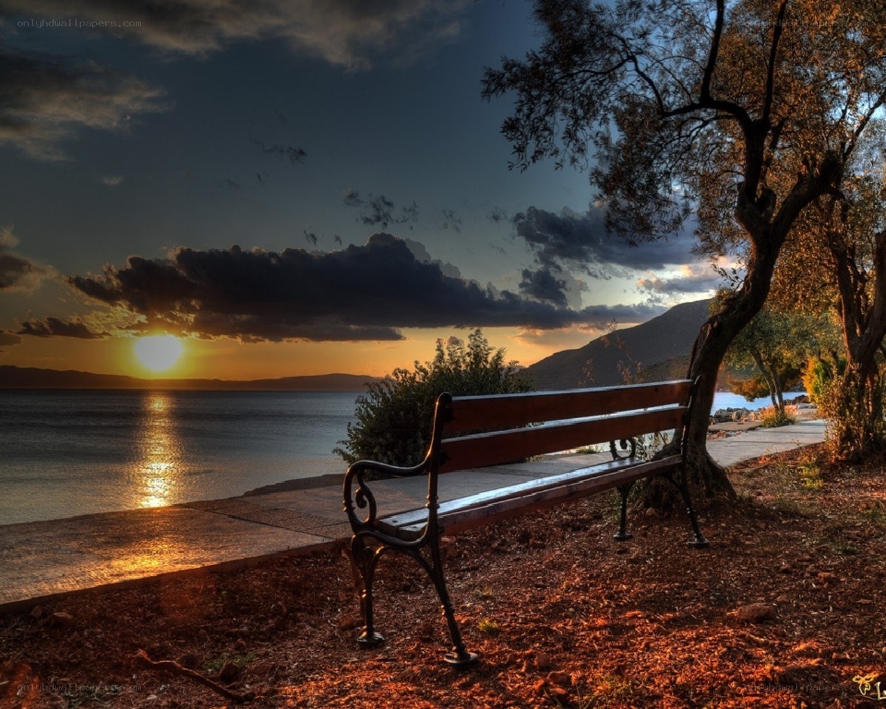 Sunset bench by the sea