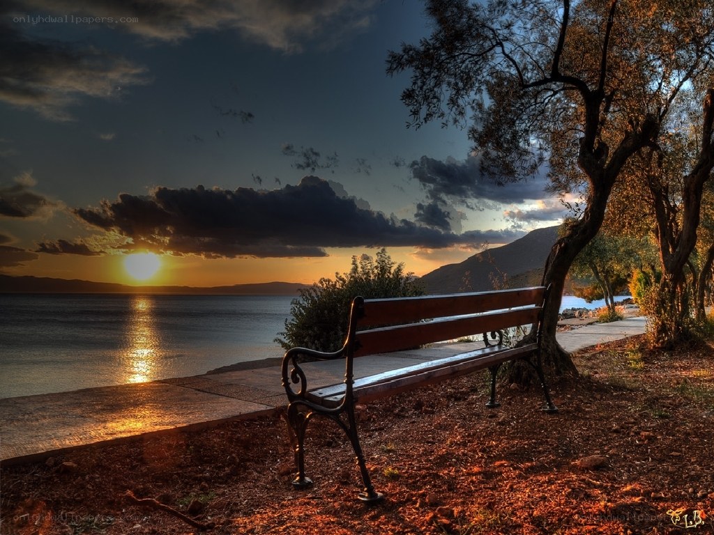 Sunset bench by the sea