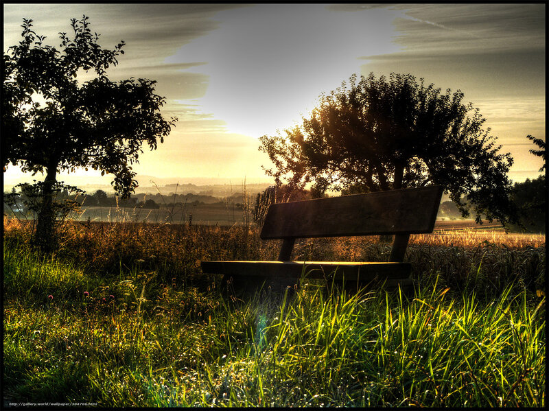 Sunset bench in a field
