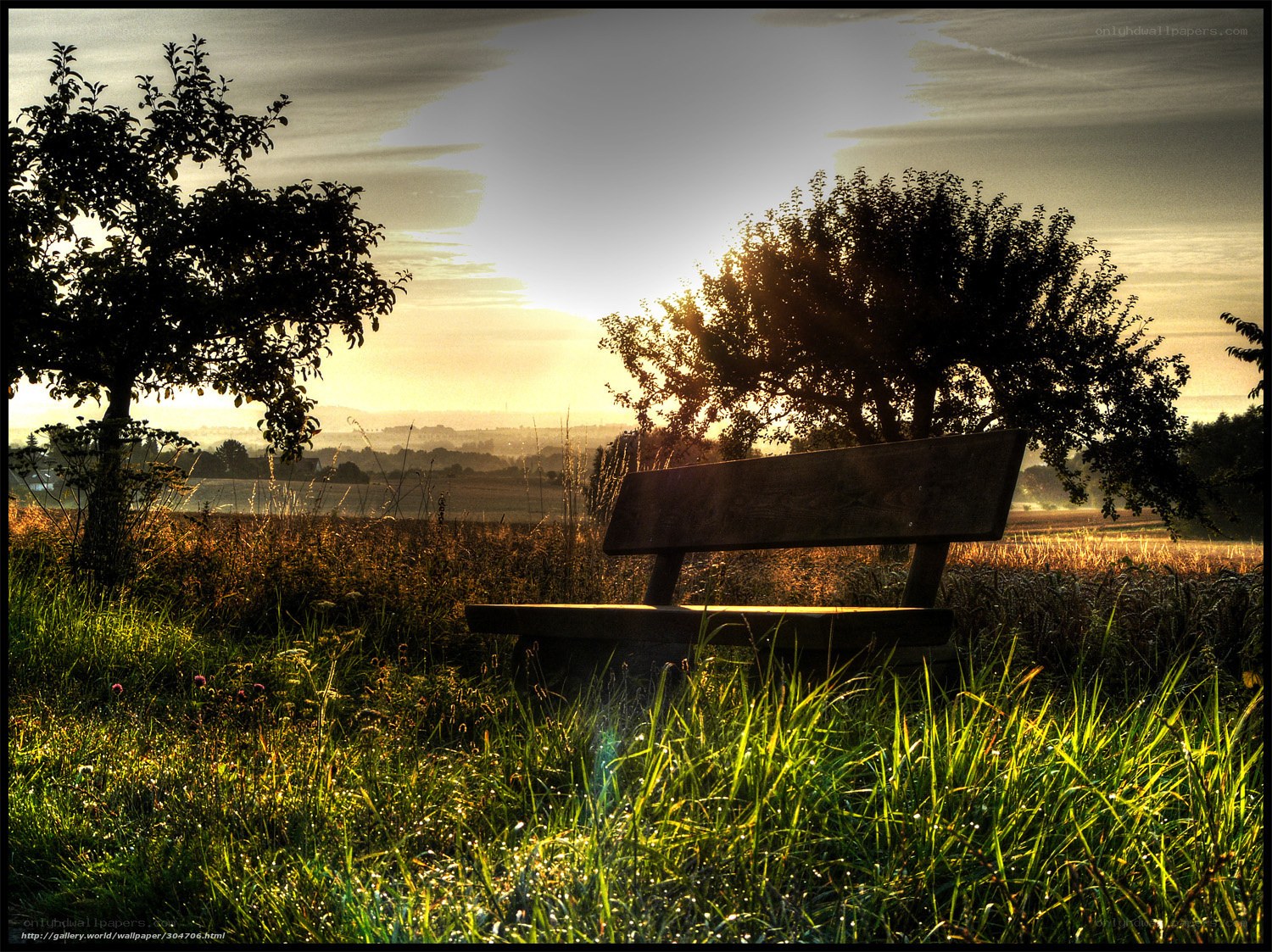 Sunset bench in a field