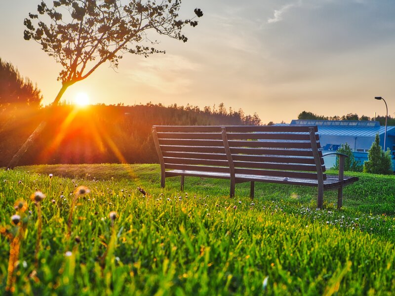 Sunset bench in park