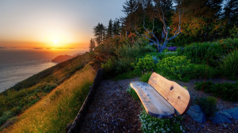Sunset bench on coastal hill