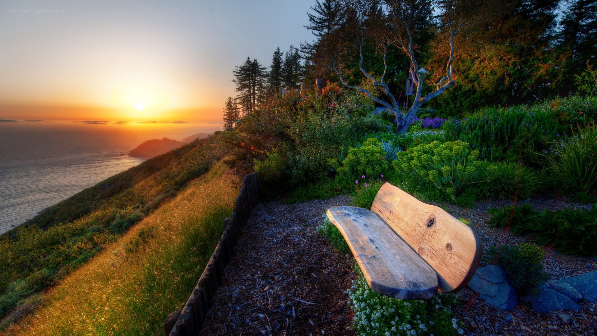 Sunset bench on coastal hill