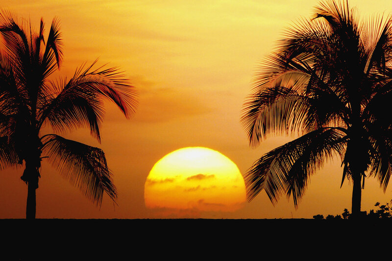 Sunset Between Palm Trees — Orange, Serene, Photograph, Palm Trees, Sun, Yellow