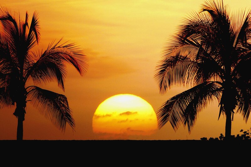 Sunset between palm trees