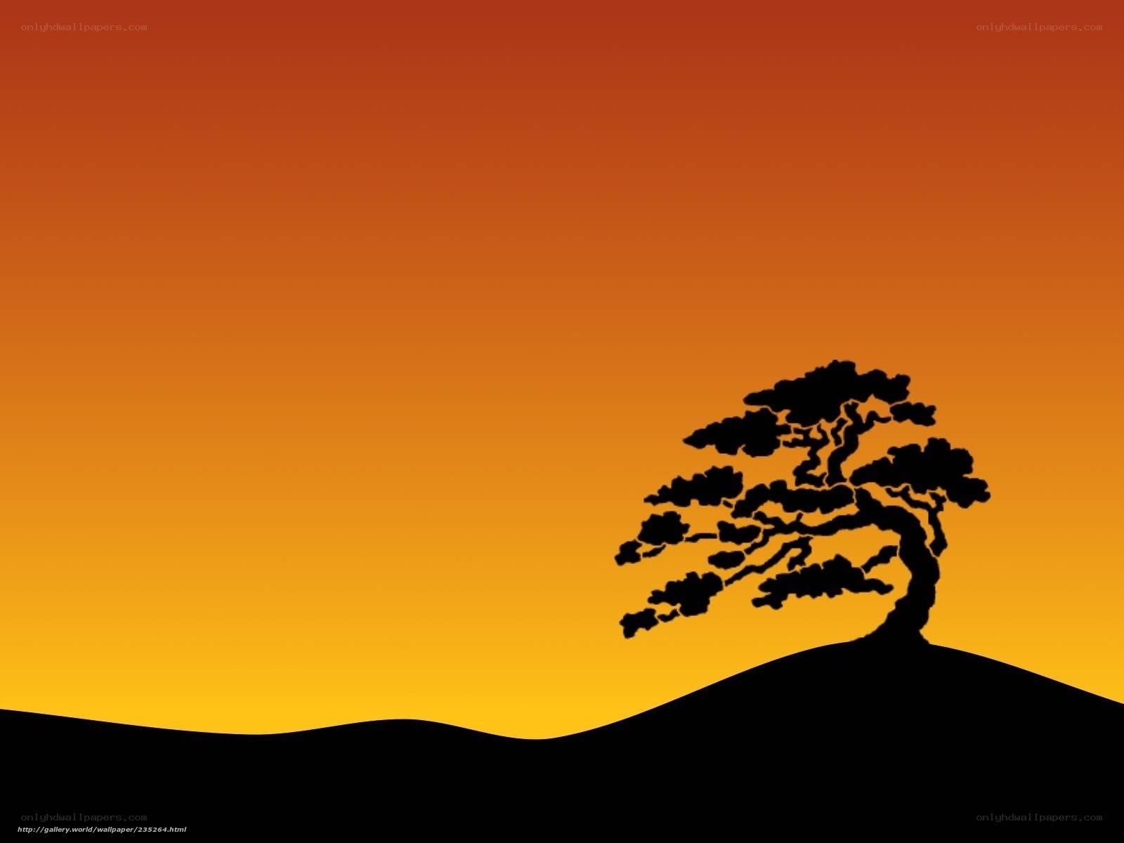 sunset bonsai tree silhouette