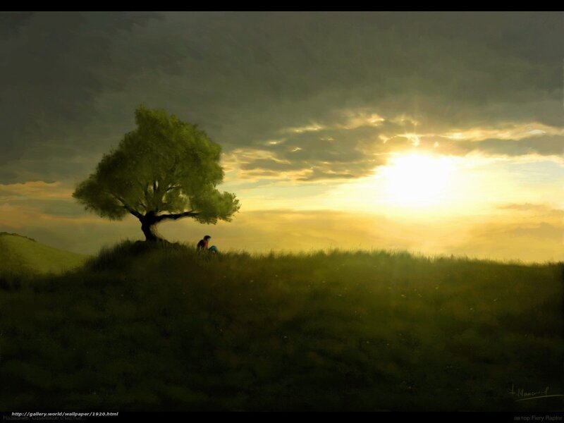Sunset by a lone tree