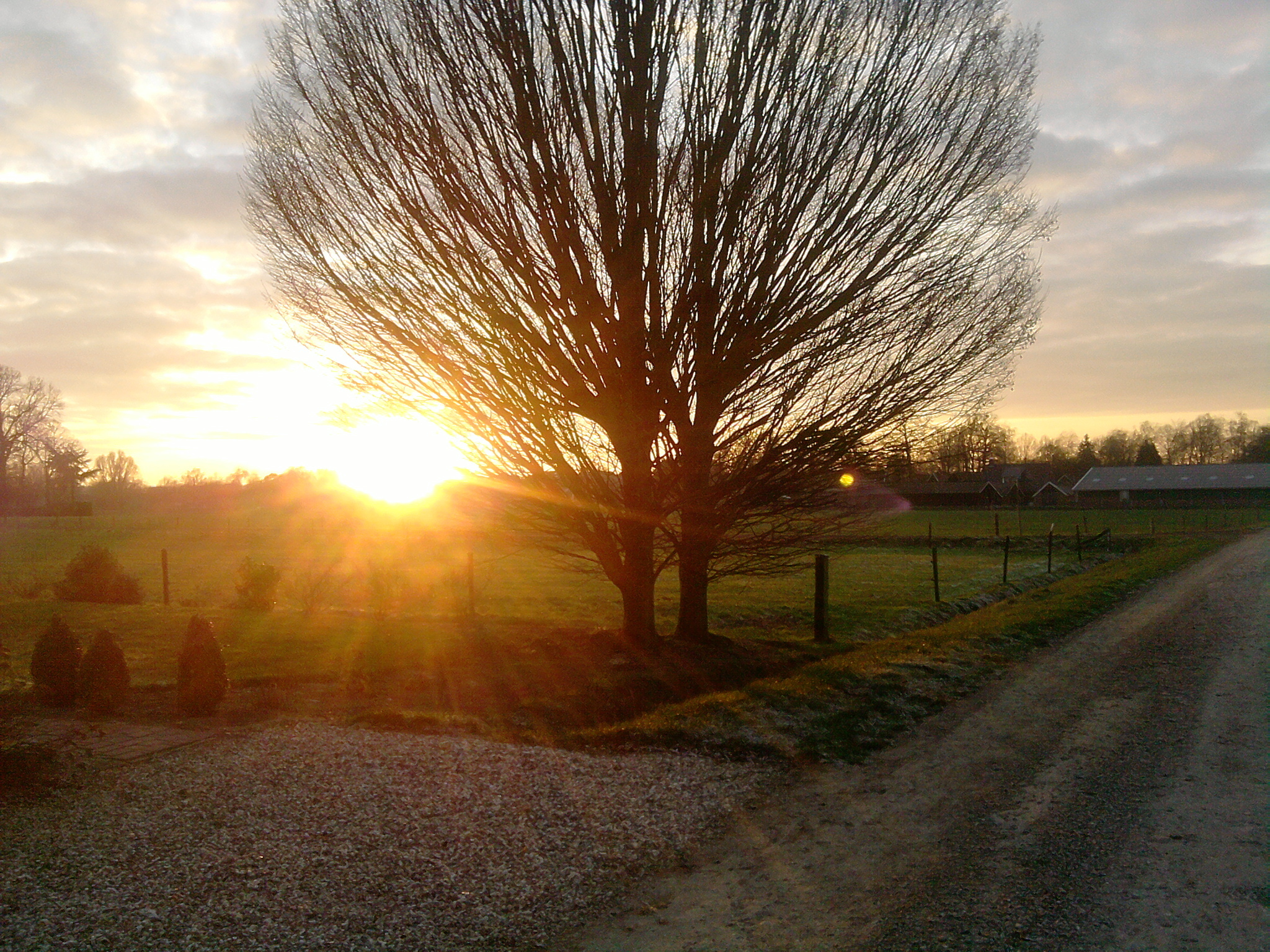 Sunset by a rural road