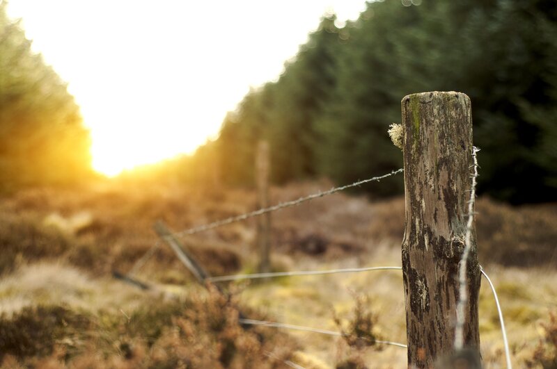 Sunset by a wooden fence