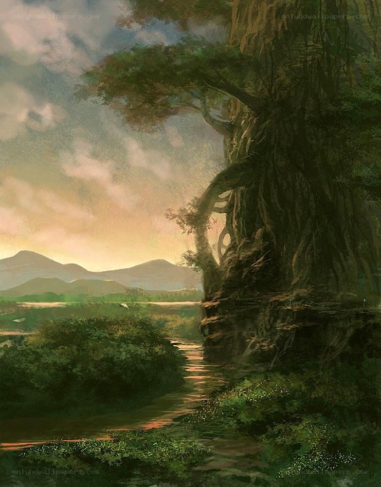 Sunset by the ancient tree
