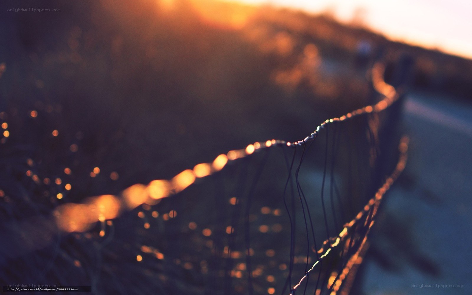 Sunset by the fence