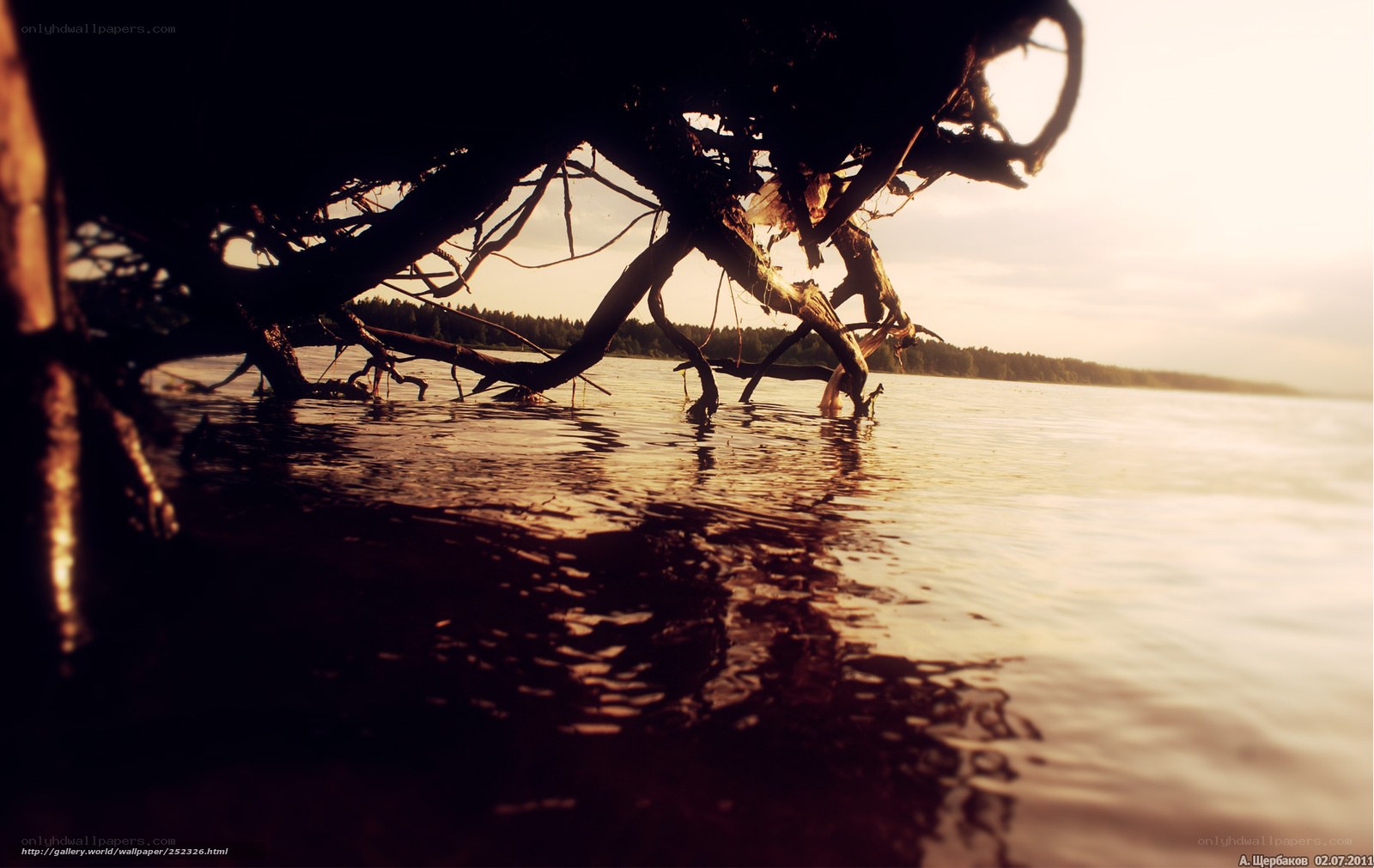 Sunset by the lake