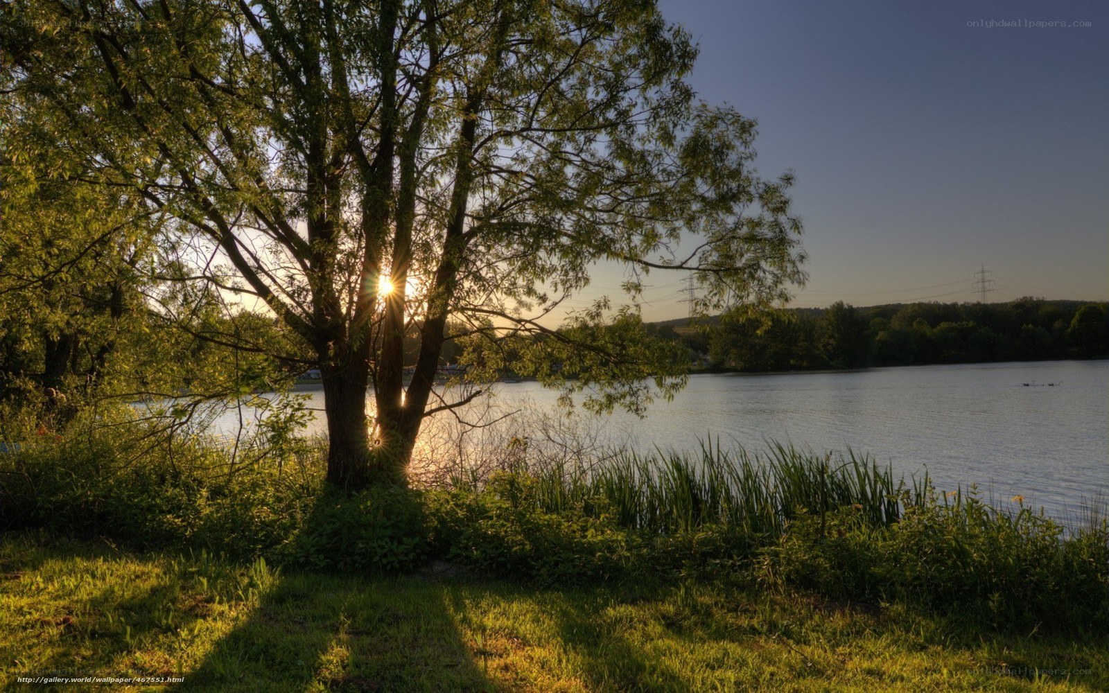 Sunset by the lake