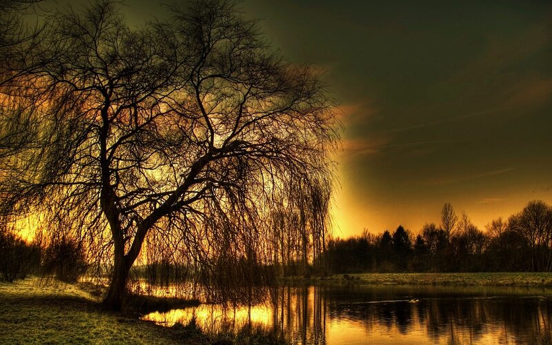Sunset by the lake