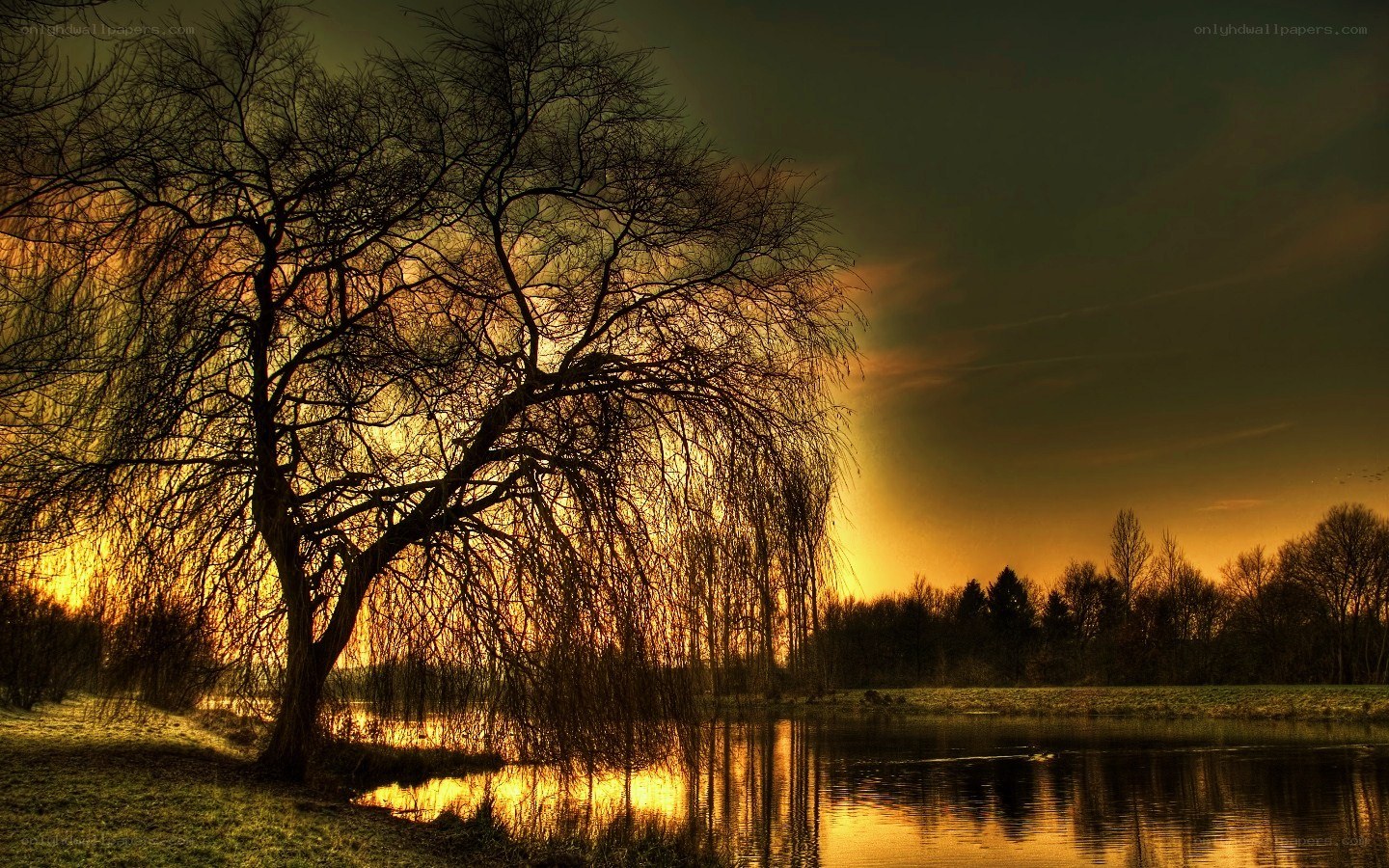Sunset by the lake