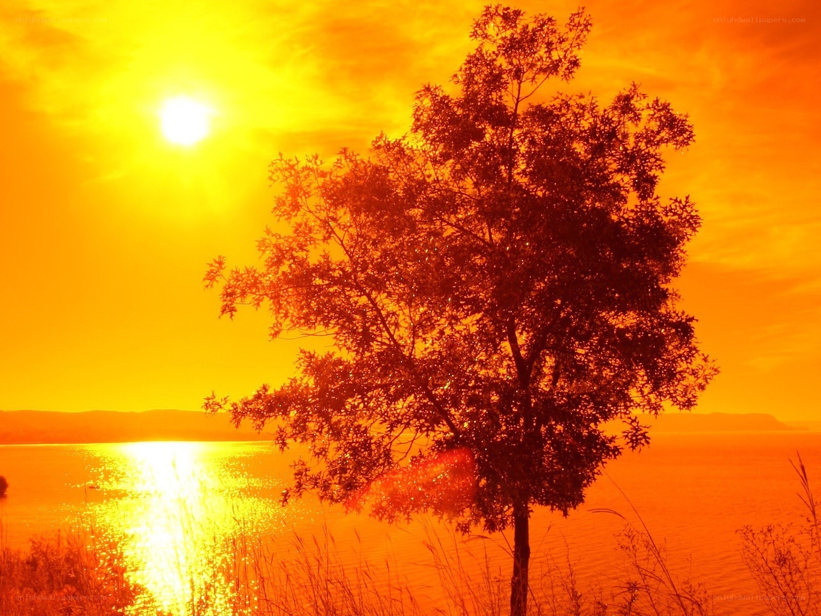 Sunset by the lake
