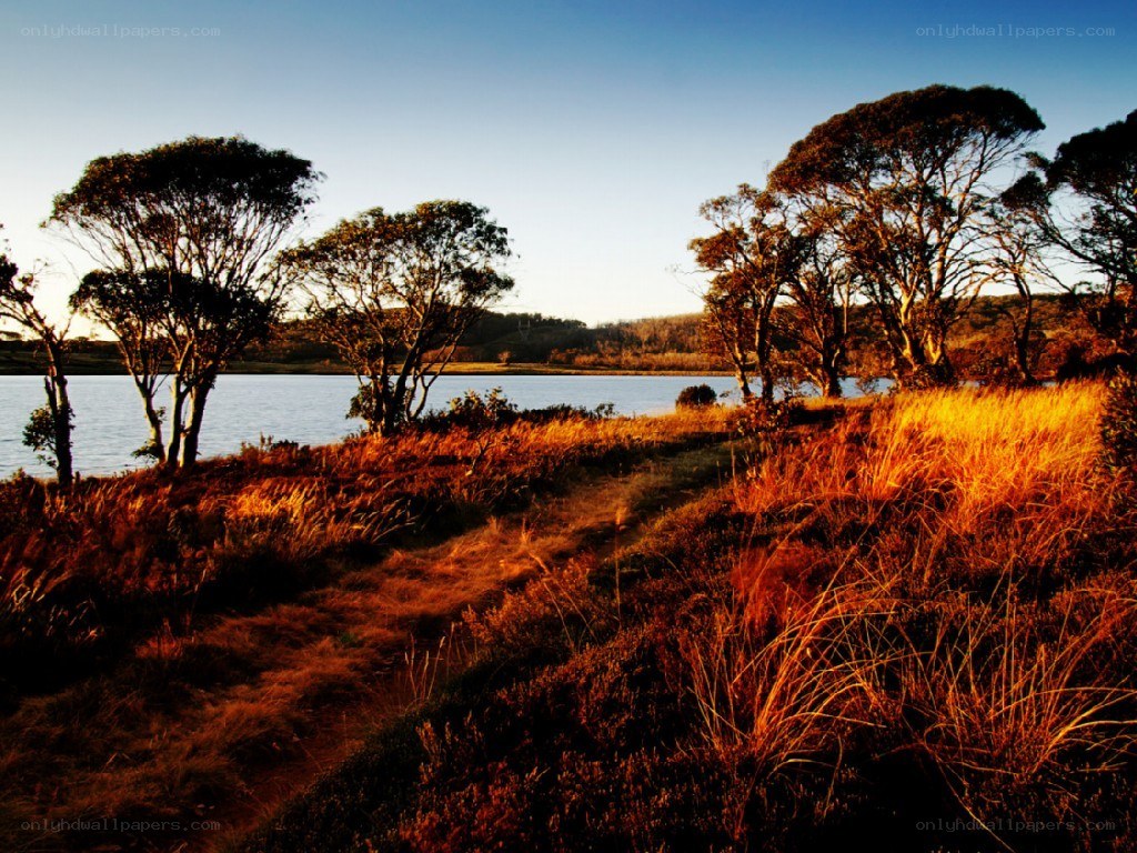 Sunset by the lake