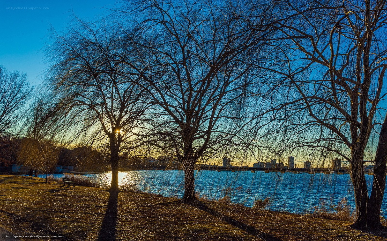 Sunset by the lake with bare trees