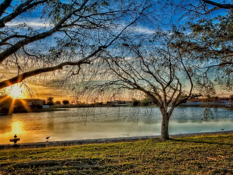 Sunset by the lake with birds
