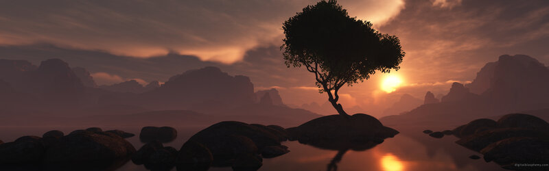 sunset by the lone tree