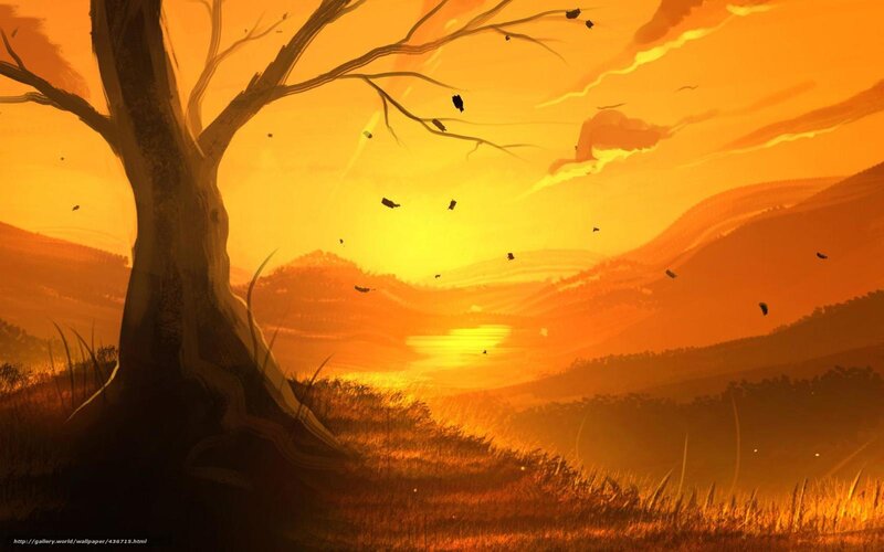 Sunset by the lone tree
