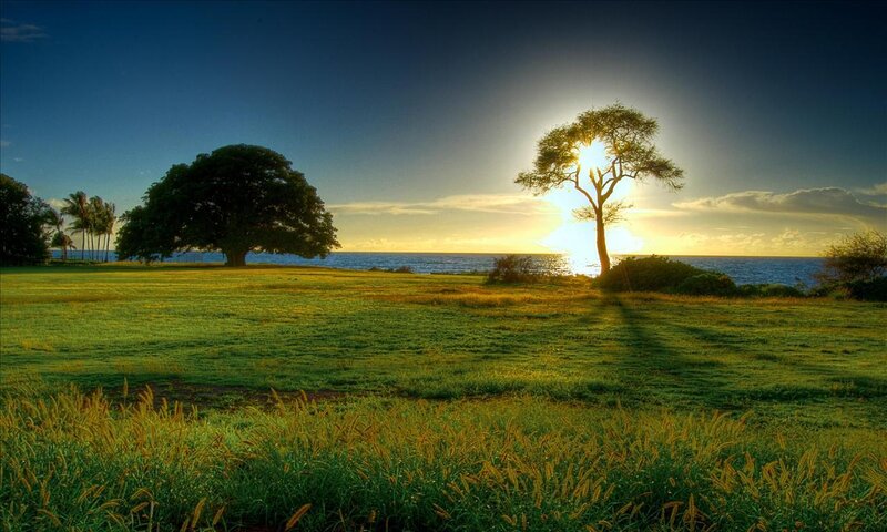 Sunset by the ocean