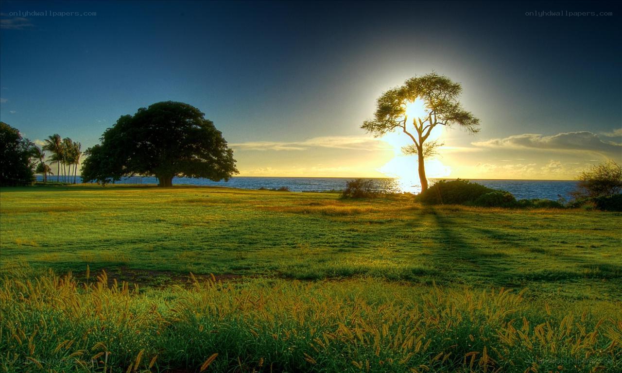 Sunset by the ocean