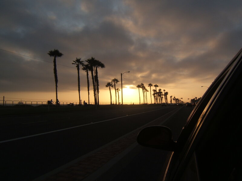 sunset by the palm-lined road