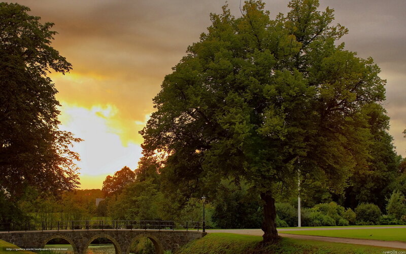 Sunset by the park bridge
