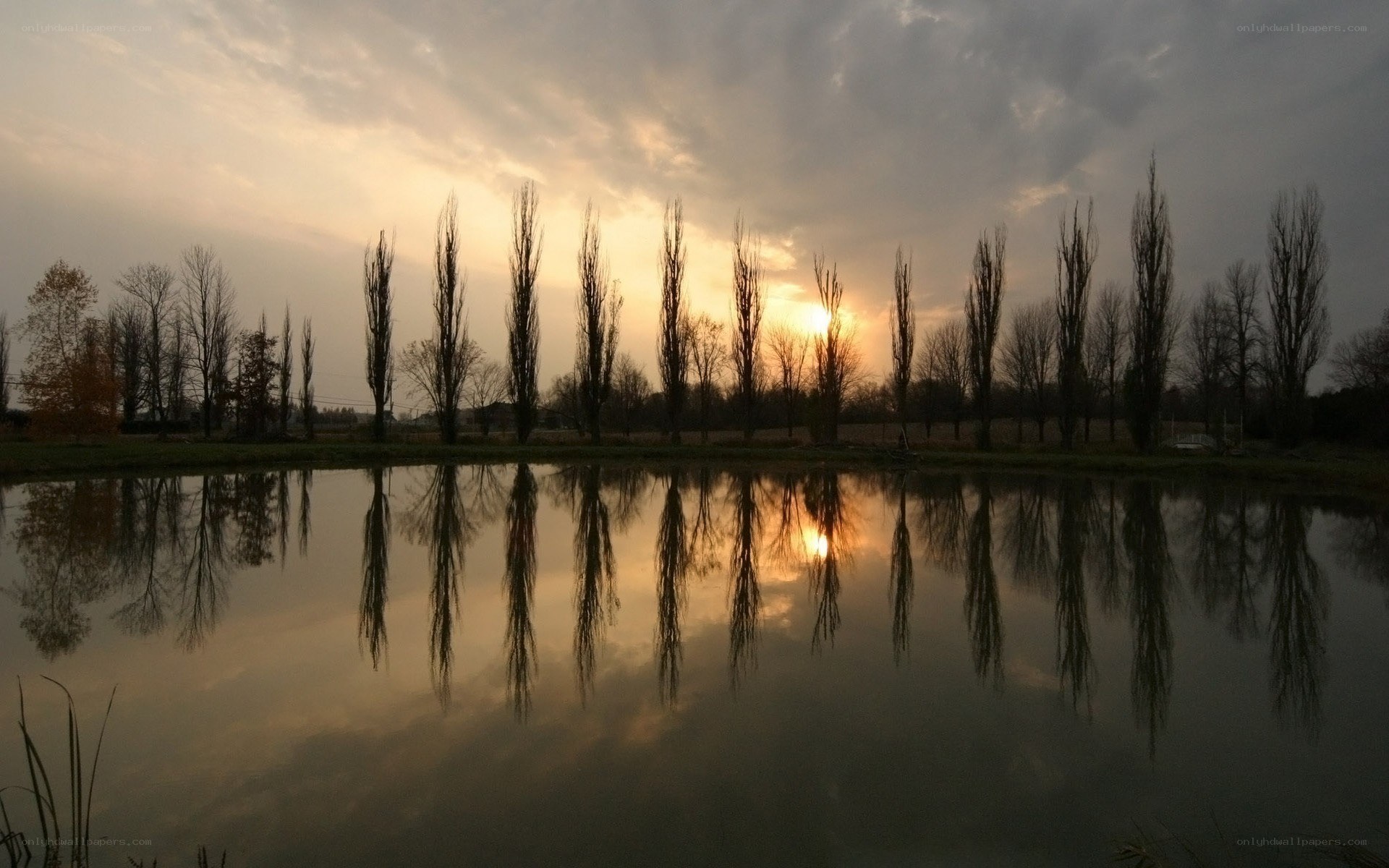 Sunset by the pond