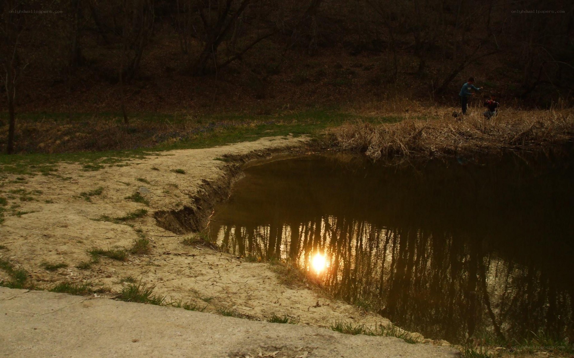 Sunset by the pond