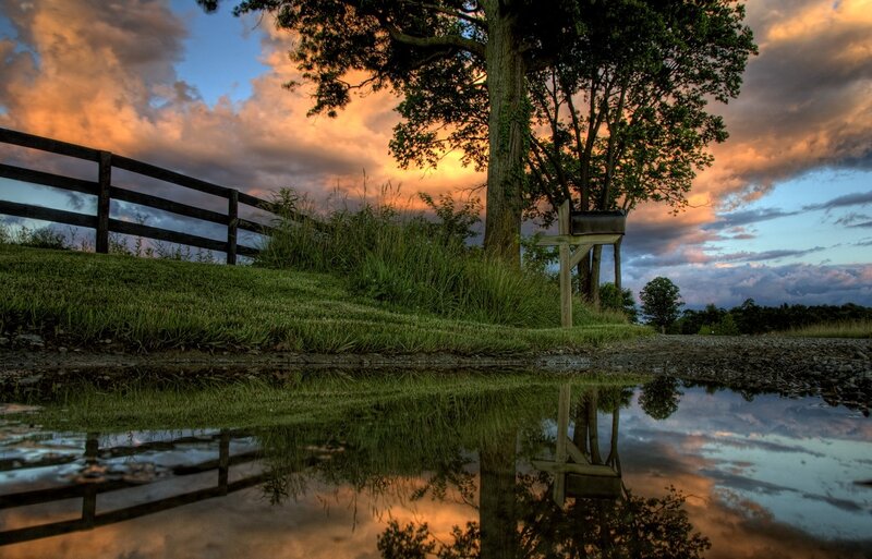 Sunset by the pond