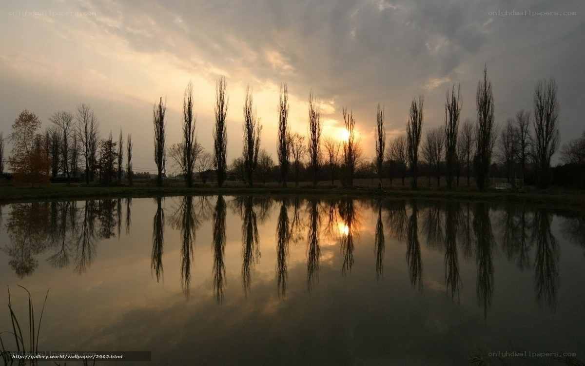 Sunset by the pond