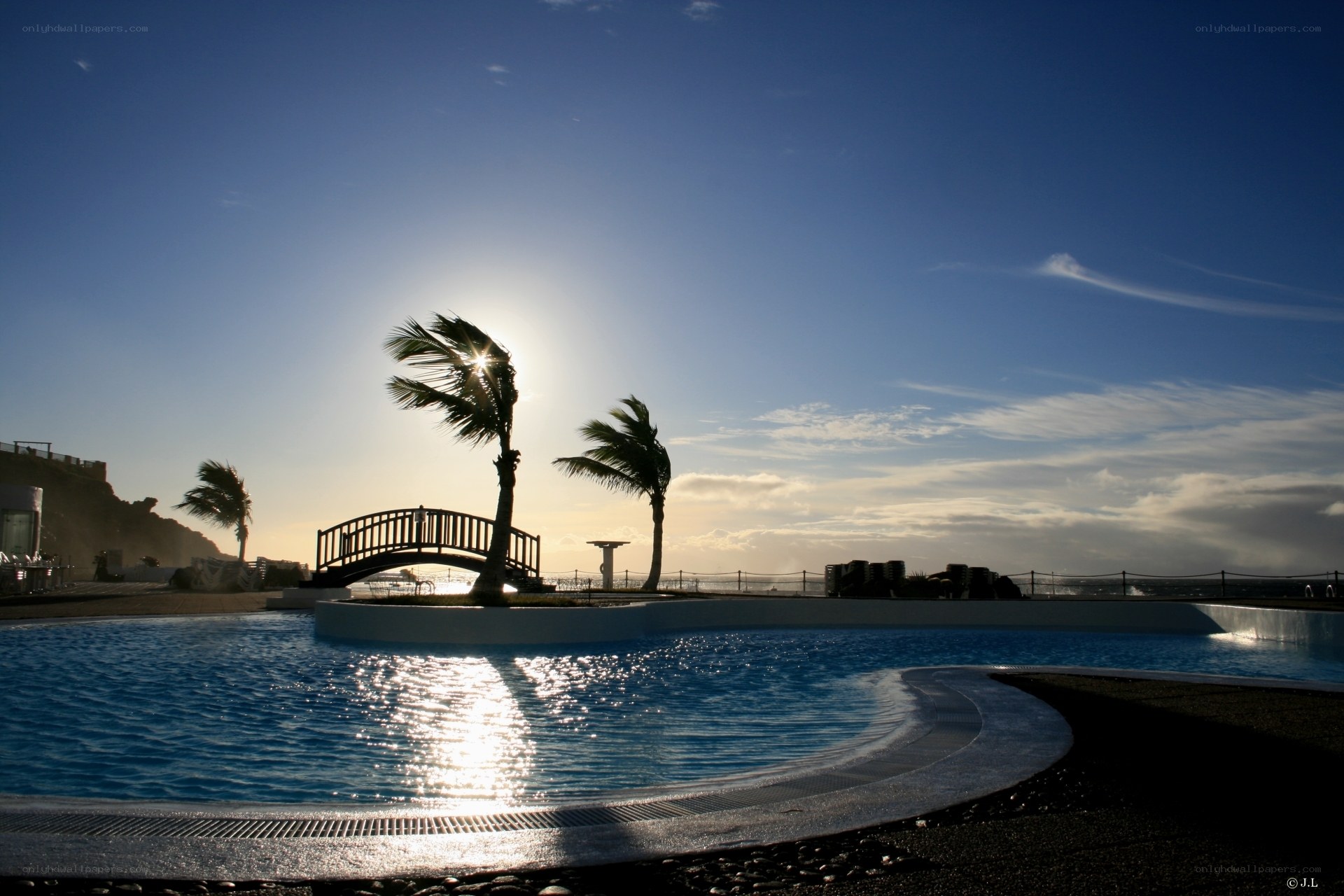 Sunset by the pool with palm trees