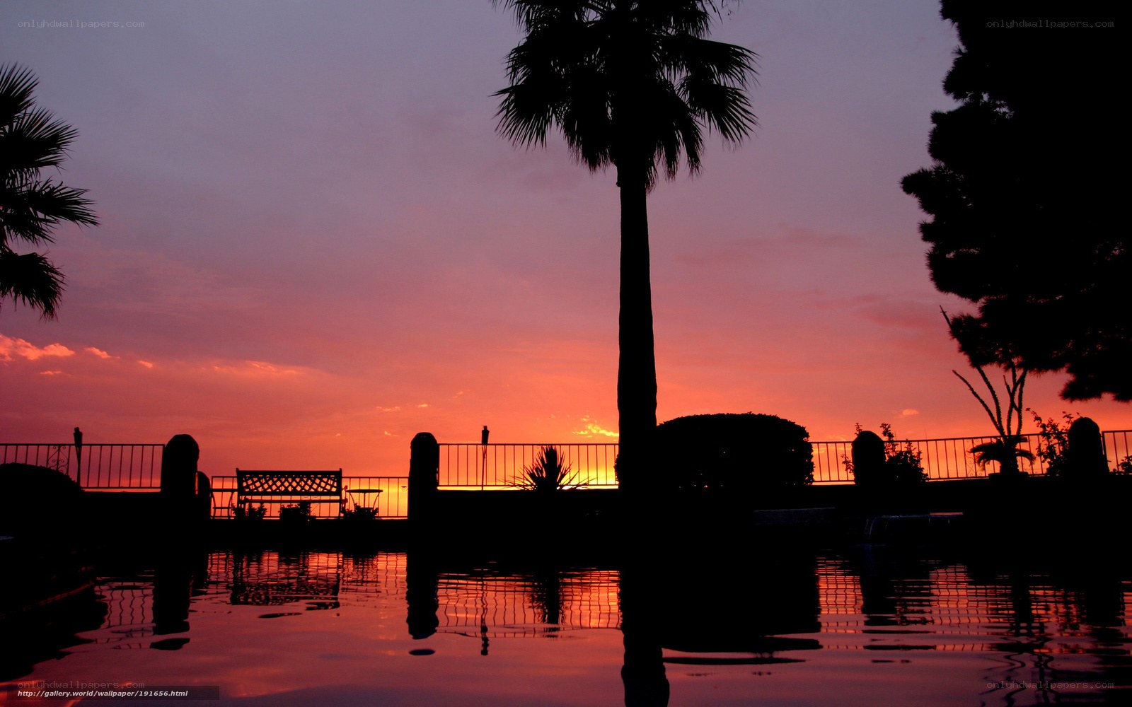 sunset by the pool