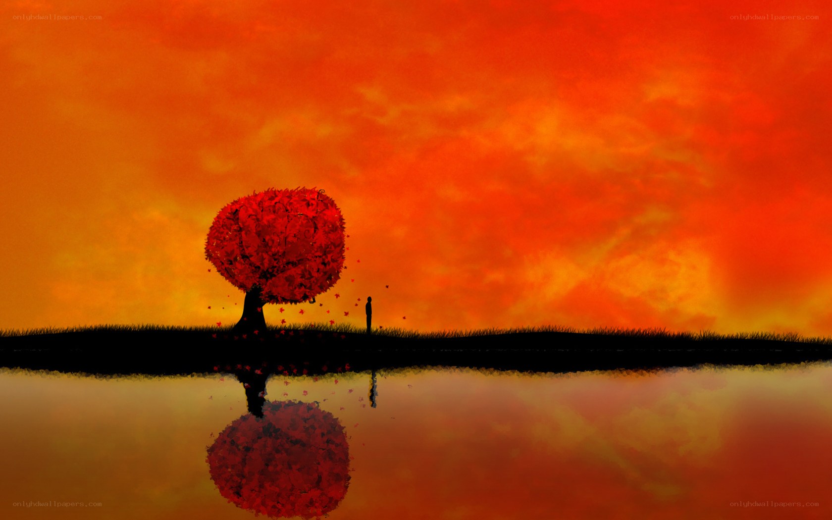 sunset by the red tree