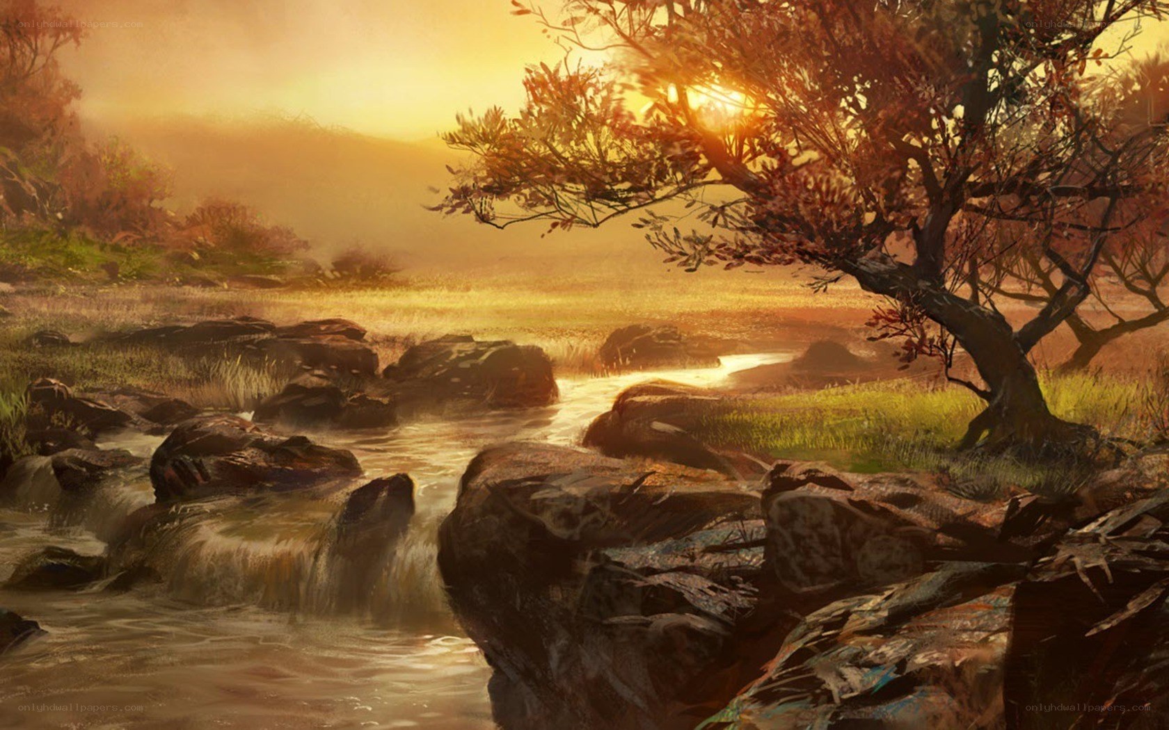 Sunset by the river