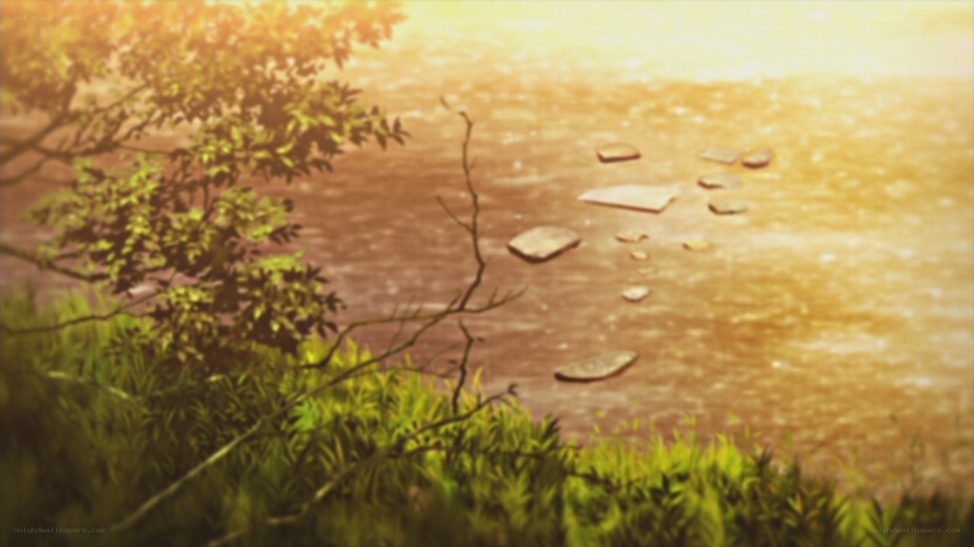 Sunset by the river