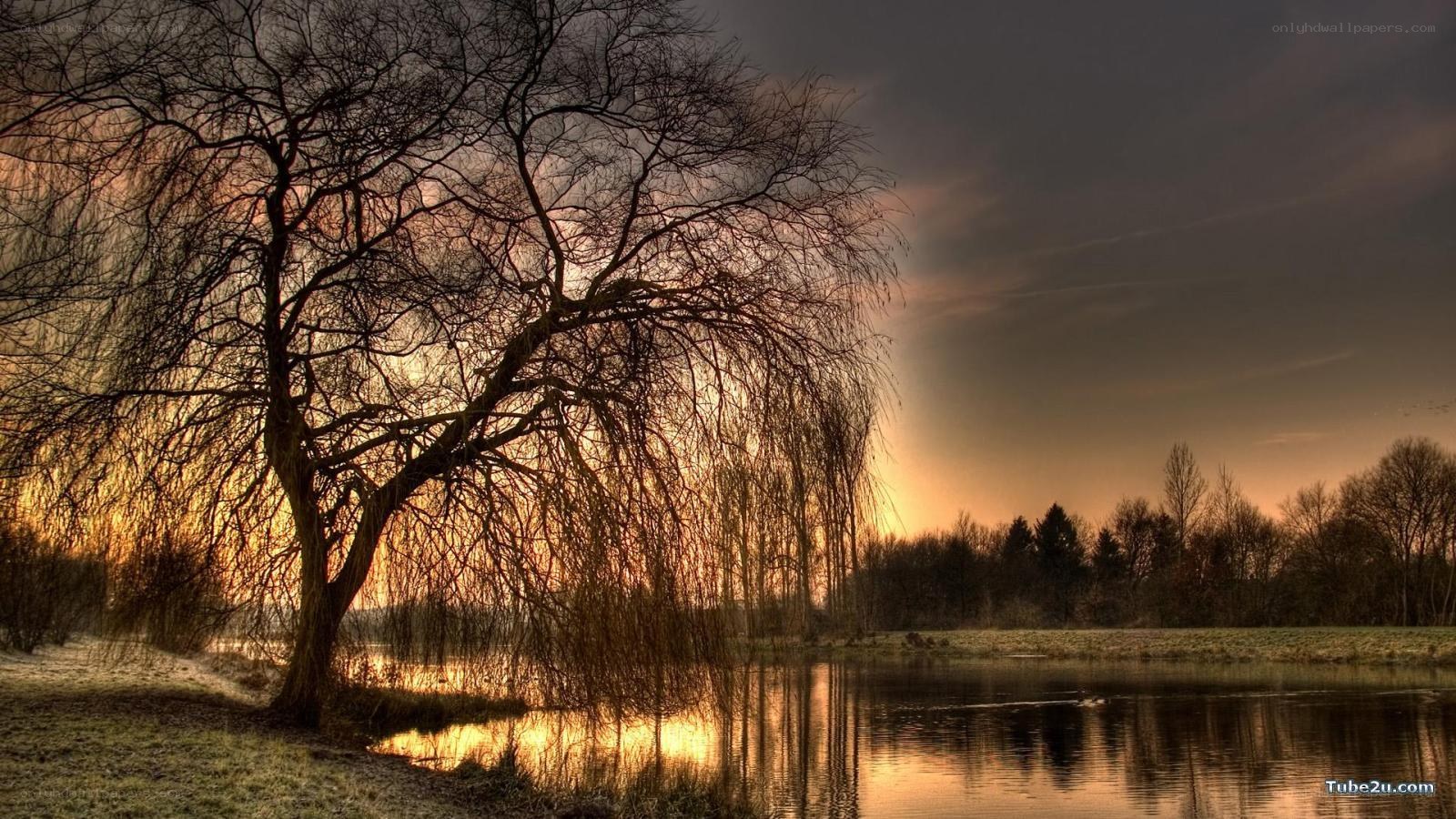 sunset by the river