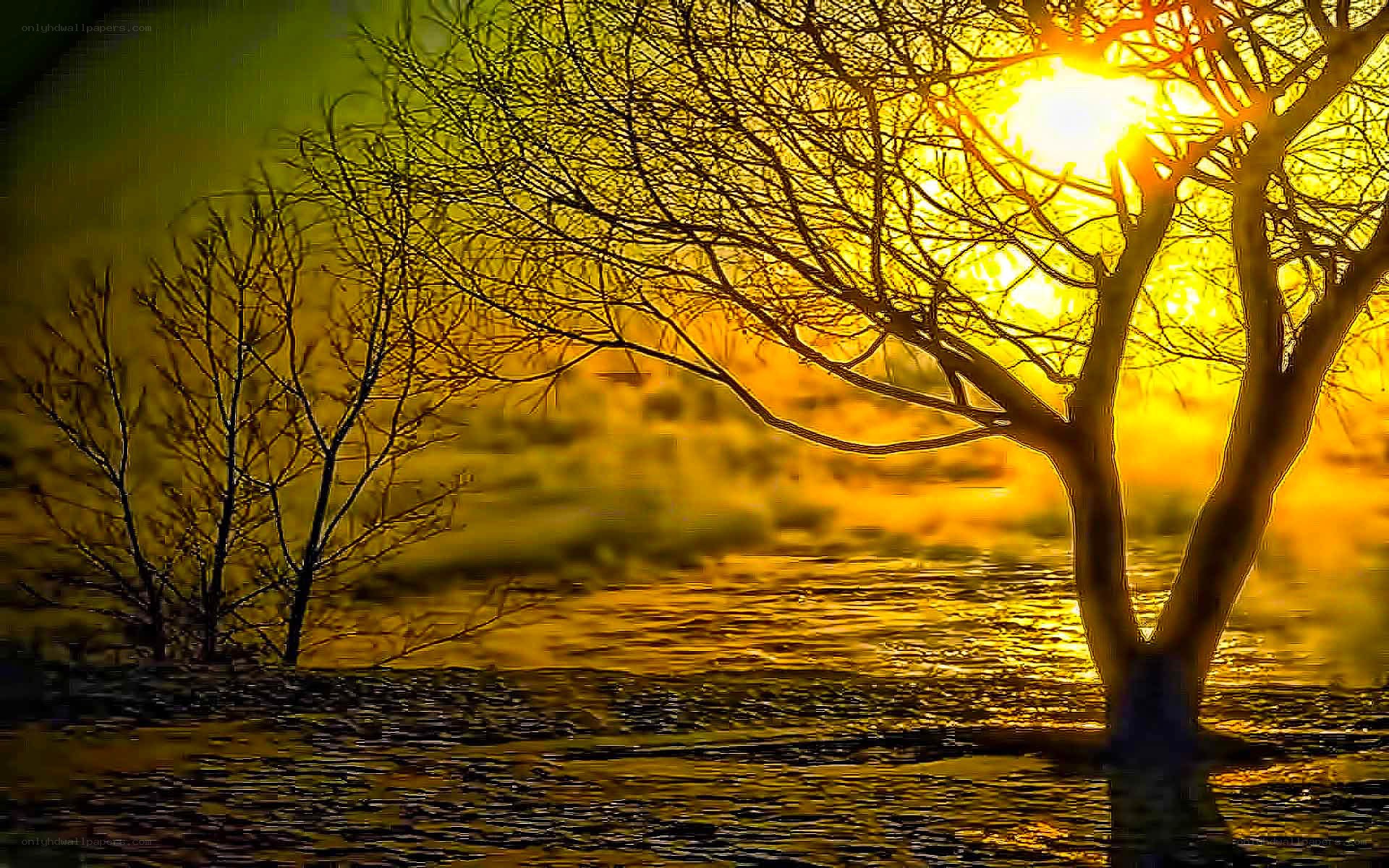 Sunset by the river