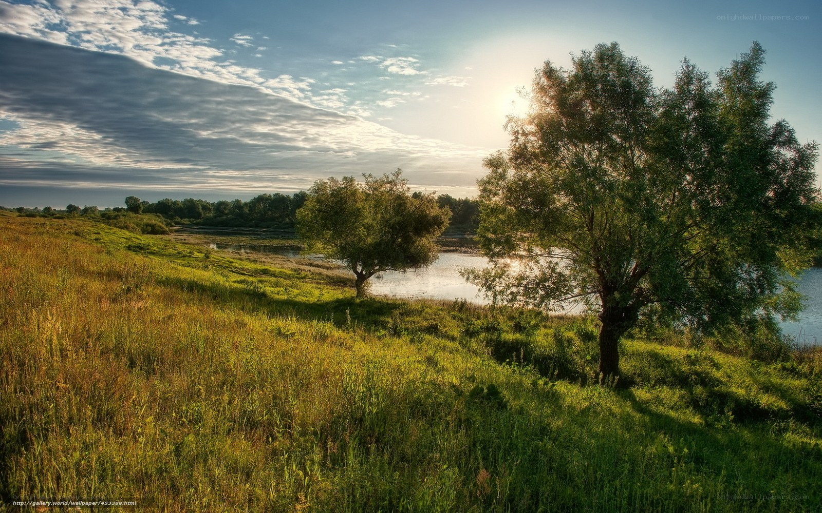 Sunset by the riverbank