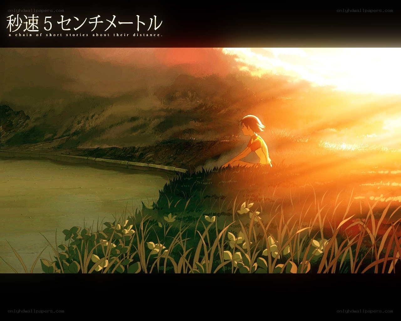 Sunset by the riverbank