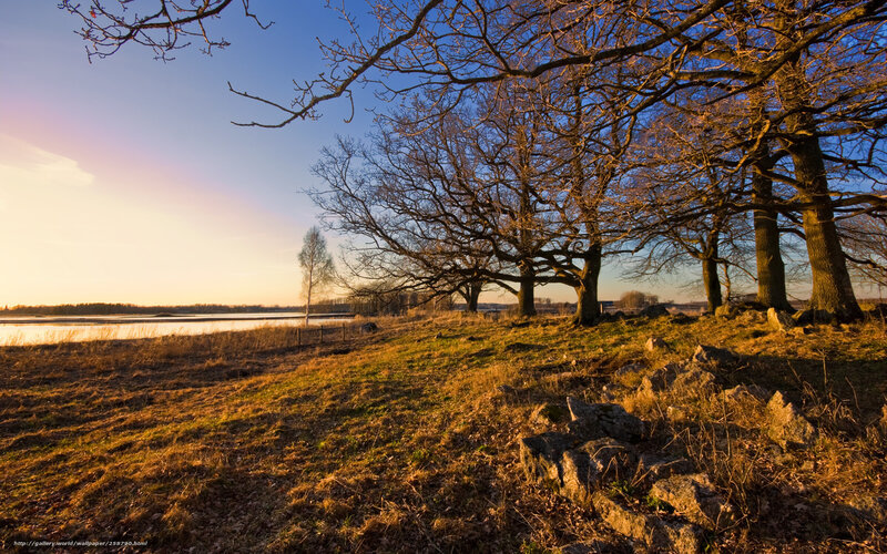 Sunset by the riverbank