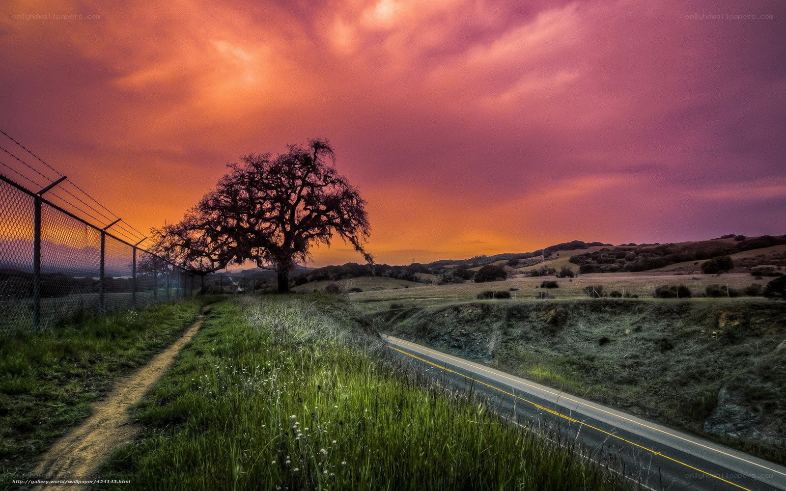 Sunset by the Road