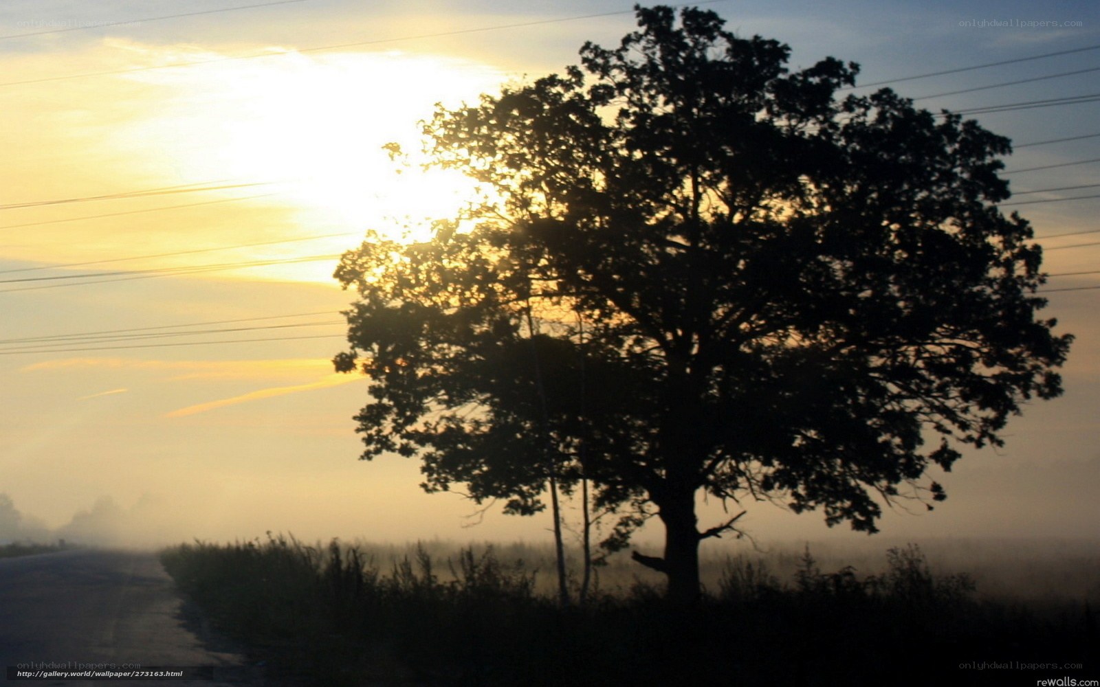 sunset by the roadside