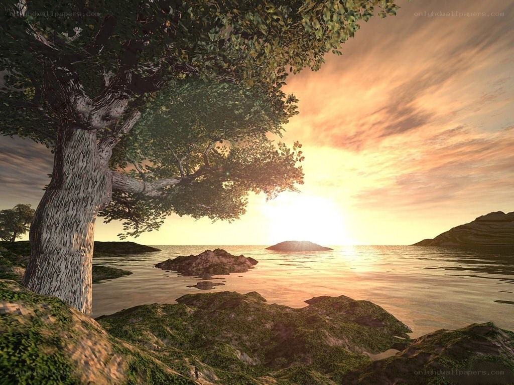 Sunset by the rocky shore
