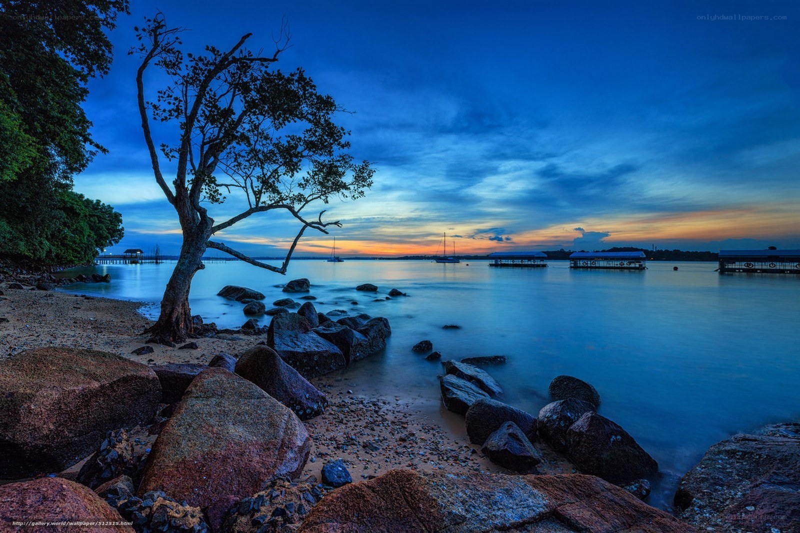 Sunset by the rocky shore