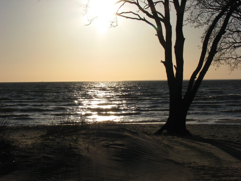 sunset by the sea