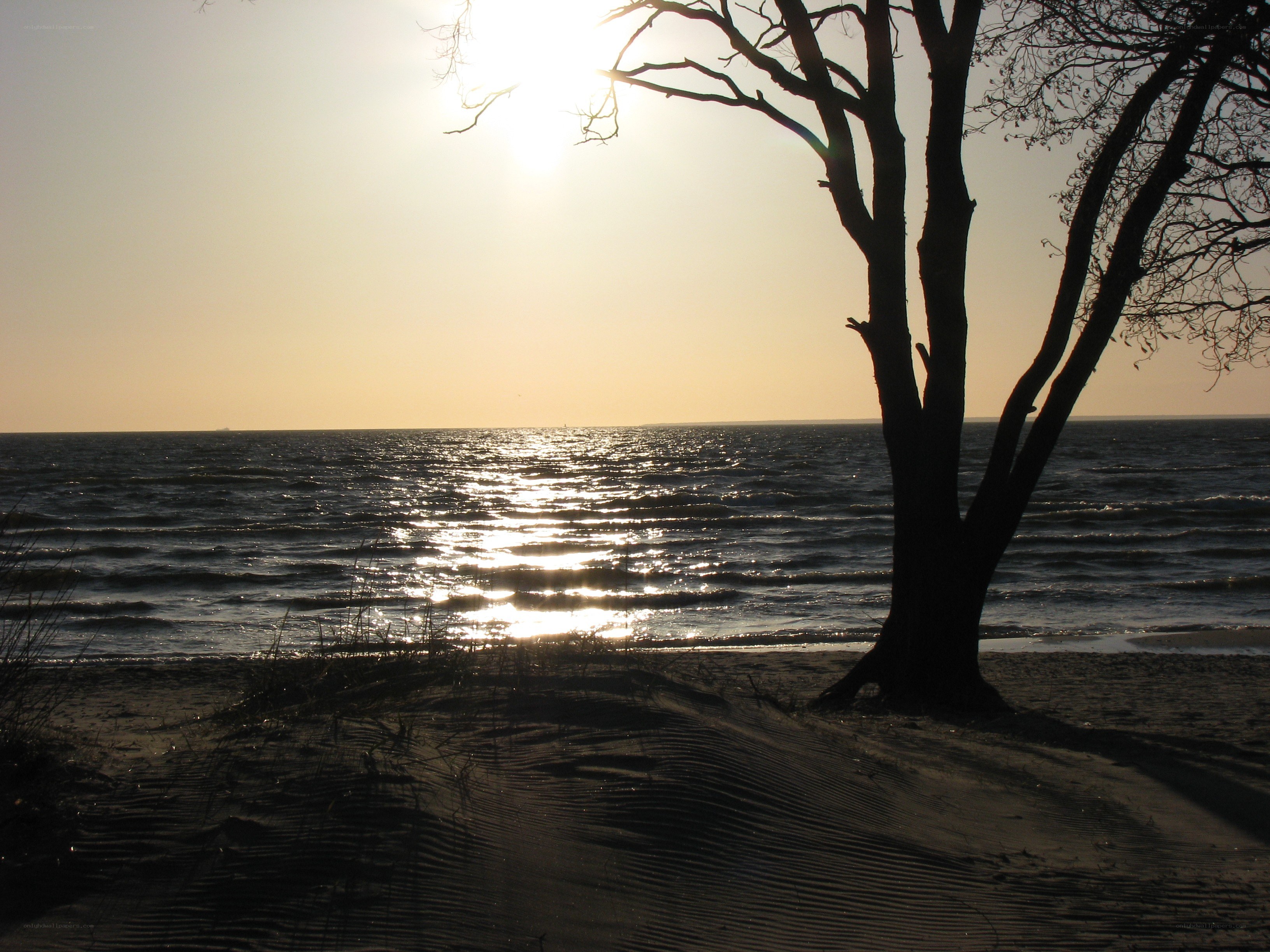 sunset by the sea