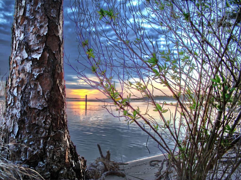 Sunset by the water